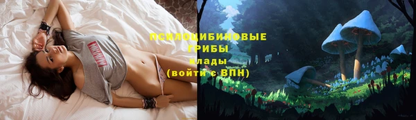 дживик Арсеньев